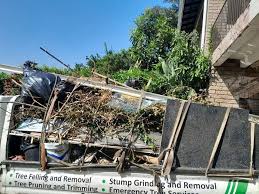 Best Dumpster Rental Services  in Oak Brook, IL